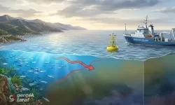 Karadeniz'de Alarm: Deniz Suyu Isınıyor, Oksijenli Yaşam Alanı Daralıyor