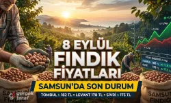 8 Eylül 2026 Salı güncel fındık fiyatları