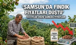 Samsun’da Fındık Fiyatları Düştü! 14 Eylül Pazartesi Güncel Liste
