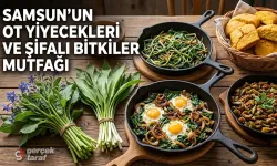 Samsun’un Ot Yiyecekleri ve Şifalı Bitkiler Mutfağı (Kaldirik, Sakarca, Melocan)