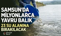 Samsun’da 23 Su Alanına 2 Milyon 412 Bin Yavru Sazan