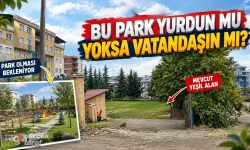Ender Çıkla Gündeme Taşıdı; Bu Yeşil Alan Kimin?