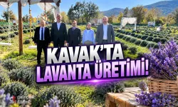 Samsun'da Kadın Girişimcinin Lavanta Bahçesi İncelendi
