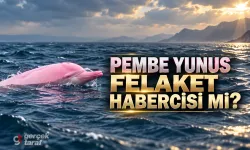 Hürmüz'de Pembe Yunus Balığı Görüldü! Felaket Efsanesinin Sırrı Ne?