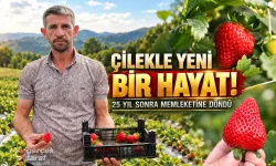 25 yıl sonra Samsun'a döndü, çilek üreticisi oldu!