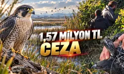 Samsun'da Gökdoğan Avlayanlara 1,57 Milyon TL Ceza