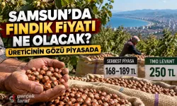 Samsun Fındık Fiyatları 5 Ekim 2026: Fiyat Artacak mı?