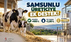 Samsunlu üreticilere buzağı ve süt desteği müjdesi!