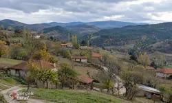 Samsun'un nüfusu en az olan mahalleleri belli oldu! Birinde sadece 11 kişi yaşıyor
