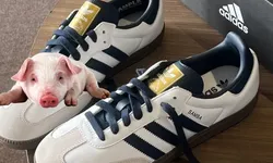 Adidas Domuz Derisi Kullandı, Ceza Yedi