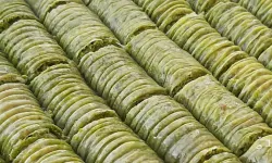Antep Fıstıklı Sarma Baklava Nasıl Yapılır?
