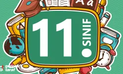11. Sınıfta Hangi Derslere Ağırlık Verilmeli?
