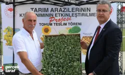 Samsun’dan Rusya’ya Sebze İhracatı: 347 Bin Fide Toprakla Buluştu!