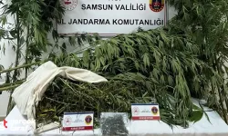 Samsun Salıpazarı’nda Uyuşturucu Operasyonu: Kenevir ve Esrar Ele Geçirildi