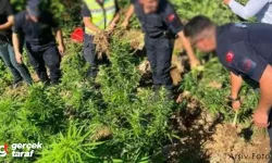 Samsun’da Jandarmadan Uyuşturucu Operasyonu: 2 Kişi Gözaltında