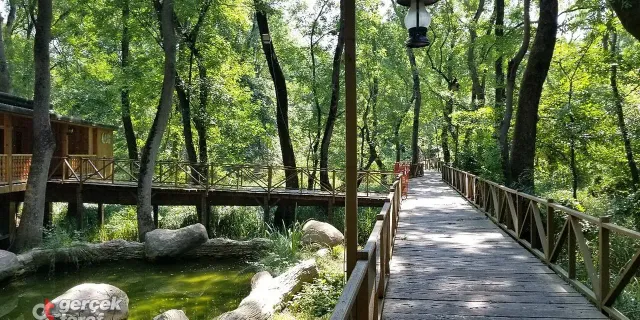 Samsun’un Yeşil Alanları Şehir Hayatını Değiştiriyor