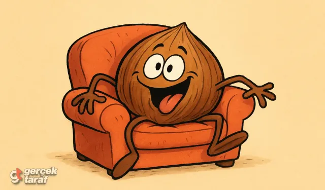 Fındık Fiyatı Uçtu: Fiyat 350 TL’yi Geçti, Gözler 500 TL Bandında