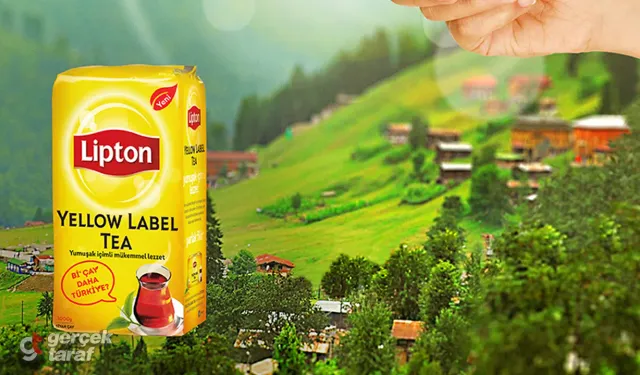 Çay sektöründe büyük değişim: Lipton çay fabrikalarını sattı
