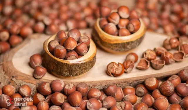 Güncel Fındık Fiyatları Ne Oldu?
