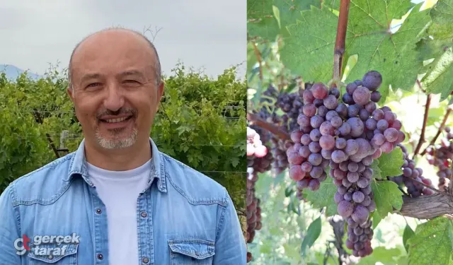 OMÜ’nün “Merzifon Karası” projesine TÜBİTAK desteği