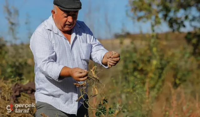 Samsun’da hem üretici kazandı hem ihtiyaç sahipleri doydu!