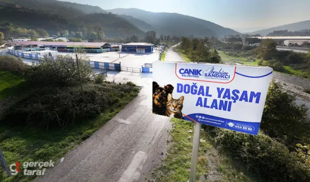 Samsun Canik’te sokak hayvanlarına umut olan merkez büyüyor