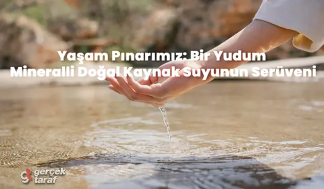 Yaşam Pınarımız: Bir Yudum Mineralli Doğal Kaynak Suyunun Serüveni