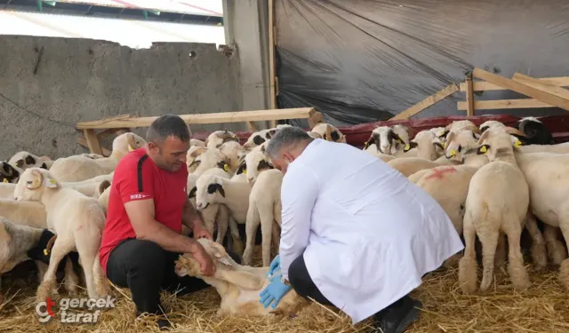 Atakum Belediyesi Kurban Bayramı'na Tam Kadro Hazır