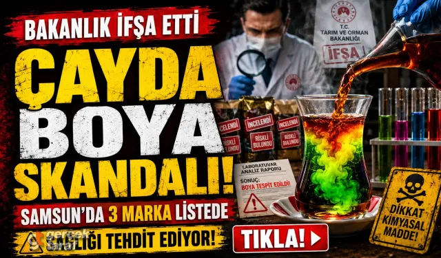 SAMSUN HABER