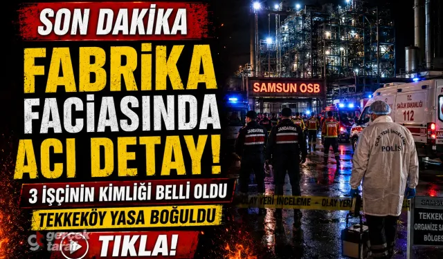 SAMSUN HABER