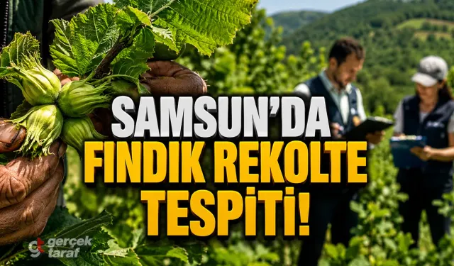 SAMSUN HABER