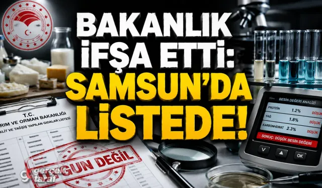 SAMSUN HABER