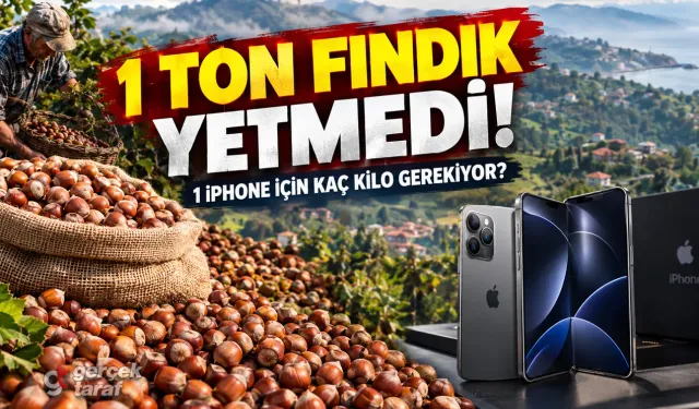 1 Ton Fındık 1 iPhone Etmiyor: Hesap Ortaya Çıktı