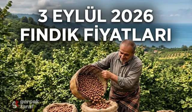 3 Eylül 2026 Perşembe Bugün Güncel Fındık Fiyatları Ne Kadar?