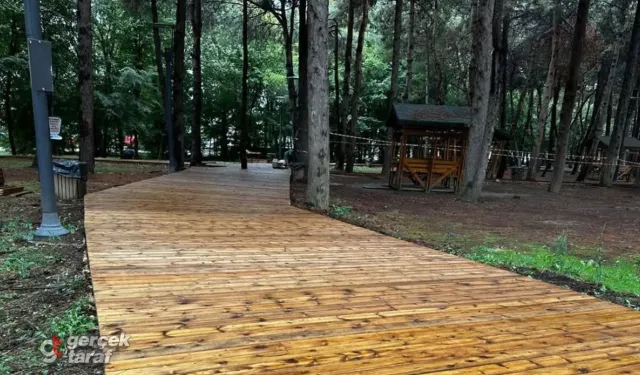 Samsun Canik Hasköy Meşe Orman Park'ta Yenileme Sürüyor