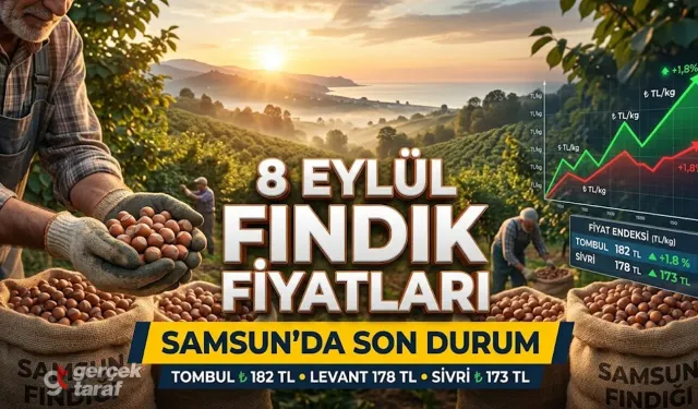 8 Eylül 2026 Salı güncel fındık fiyatları