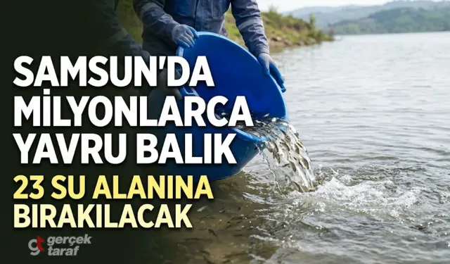 Samsun’da 23 Su Alanına 2 Milyon 412 Bin Yavru Sazan