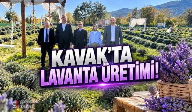 Samsun'da Kadın Girişimcinin Lavanta Bahçesi İncelendi