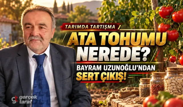Samsun'dan ata tohumu isyanı! Çocukluğumuzun domatesleri nereye kayboldu?