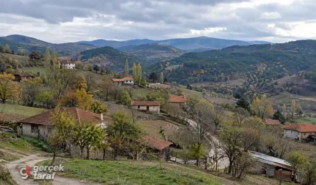 Samsun'un nüfusu en az olan mahalleleri belli oldu! Birinde sadece 11 kişi yaşıyor