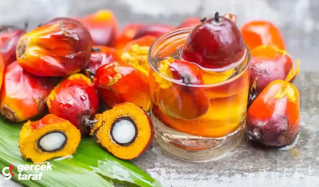 Palm Yağı Nedir, Neden Zararlı?