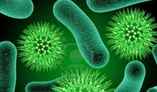 Hastanelerdeki Tıbbi Malzemeleri Tehdit Eden Yeni Bakteri Türü Bulundu!