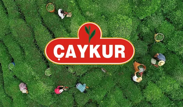 ÇAYKUR, Kuru Çay Fiyatlarına Yüzde 15'lik Artış Gerçekleştirdi!