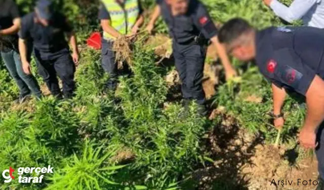 Samsun’da Jandarmadan Uyuşturucu Operasyonu: 2 Kişi Gözaltında