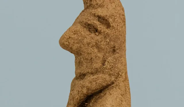 "8 Bin Yıllık Tarihi Bulgu: Tilki Postu ile Kaplı Erkek Cesedi Keşfedildi!"