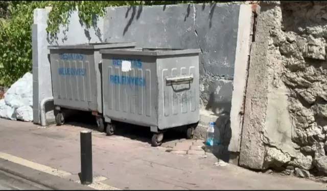 İstanbul'da Çöpte Bulunan Yanmış Bebek Cesediyle İlgili Anne Gözaltına Alındı