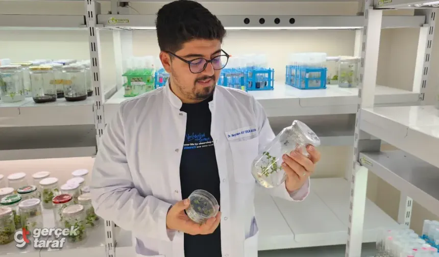 CRISPR’lı Domates Projesine TÜBİTAK Desteği!