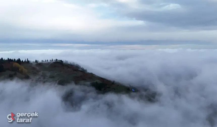 Dürtmen Dağı Korundu: Samsun Halkı Maden Şirketini Durdurdu