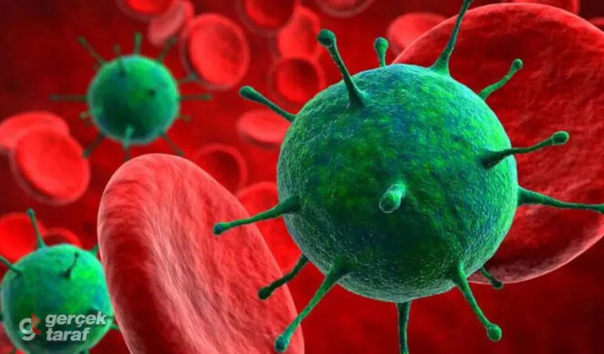 Beyni Saniyeler İçinde Bitiriyor! Tedavisi Olmayan O Virüs İçin Çin'den 'Hazır Olun' Uyarısı!