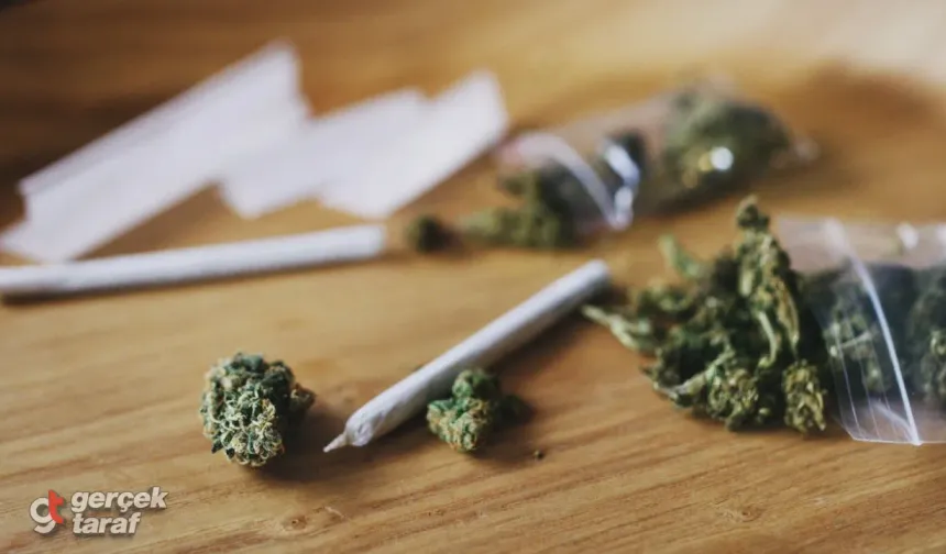 Samsun'da uyuşturucu operasyonu! Evde 709 gram skunk, silah ve 48 bin TL nakit ele geçirildi